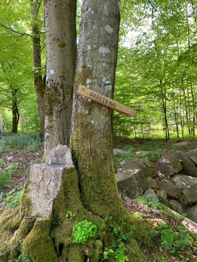 Skogshoejda Tjornarp Kültér fotó